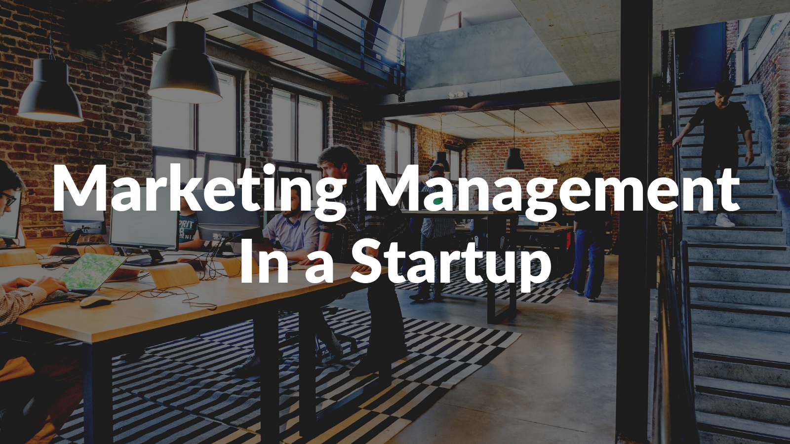 Why Marketing Management is so Hard in Startups
