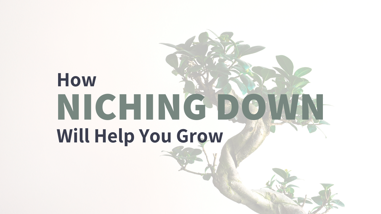 How Niching Down Can Help Your Business Grow